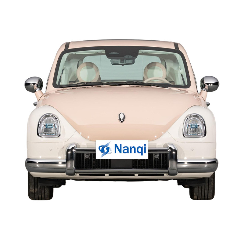 ORA Ballet Cat 500 km Veículo elétrico puro 5 portas 5 lugares hatchback